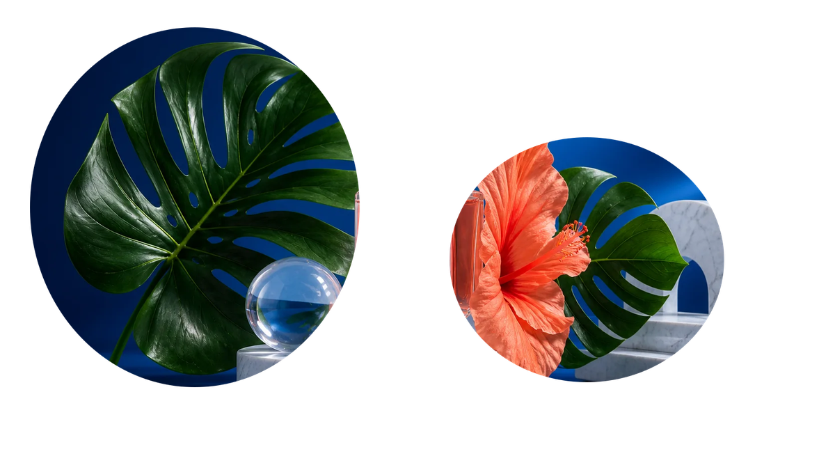 Décomposition RGBA sémantique